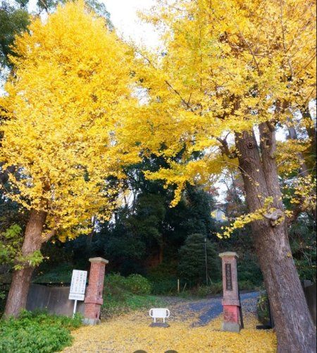 近くの千葉大学 松戸キャンパスまで1,648m（徒歩21分）