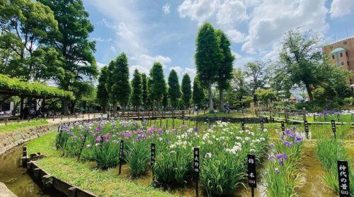 近くのしょうぶ沼公園まで974m（徒歩13分）