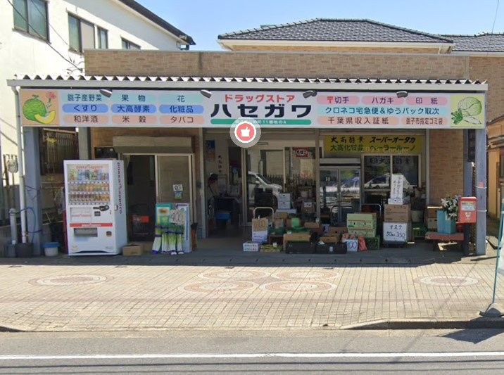 近くの長谷川ドラッグストアまで1,066m(徒歩14分)