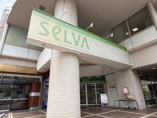 近くのセルバまで1,738m(徒歩22分)