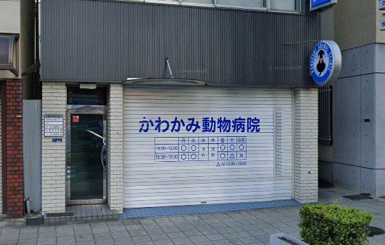 近くのかわかみ動物病院まで546m(徒歩7分)
