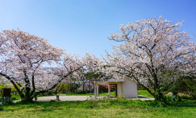 近くのくりはまみんなの公園まで990m(徒歩13分)