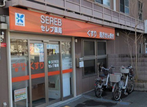 近くのセレブ薬局上野東店まで1,034m（徒歩13分）