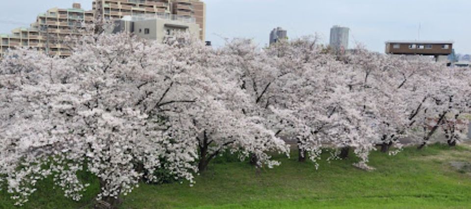 近くの淀川河川公園まで903m(徒歩12分)