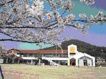 近くの陶こども園まで5,631m(徒歩71分)
