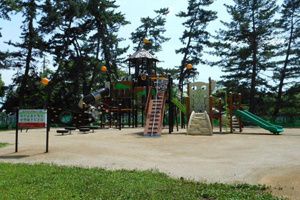 近くの酒津公園まで1,119m(徒歩14分)