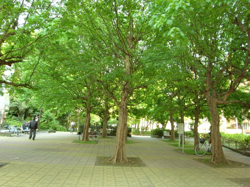 近くの戸山公園まで1,058m（徒歩14分）