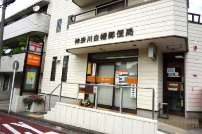 近くの神奈川白幡郵便局まで734m(徒歩10分)