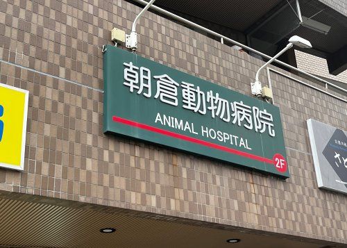 近くの朝倉動物病院まで154m(徒歩2分)
