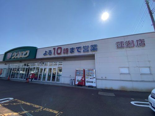 近くのウオロク蓮潟店まで665m（徒歩9分）