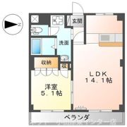 セレーヌ泉の間取り画像
