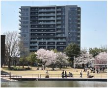 レーベン富山環水公園TERRACE FORTの外観画像