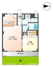 セレーヌ泉の間取り画像