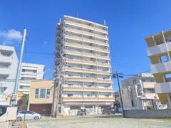 サテンドール黒髪の外観画像