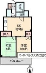 ウーリィパレス大森の間取り画像