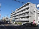 津田沼ダイカンプラザCityの間取り画像