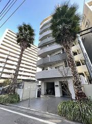 スパシエ カステロ 新都心の外観画像
