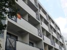 ジョイフル池上の間取り画像