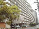 コープ野村大手町II514号の間取り画像