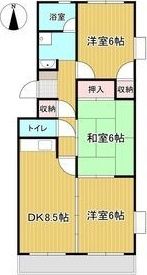 シティーパレス松本の間取り画像