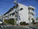 メゾンクレールの間取り画像