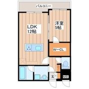 LUANA・AIR・RESIDENCE五橋の間取り画像