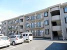 フォレスト松本の間取り画像
