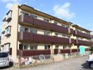 ライフマンションの間取り画像