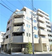 モンステラの外観画像