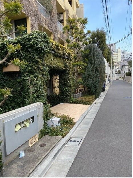 庭