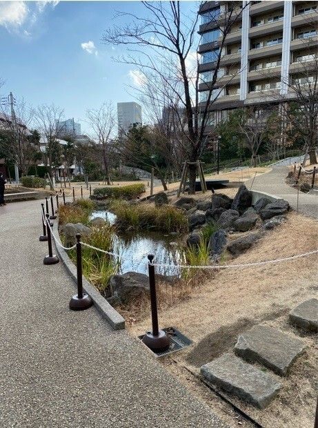 庭