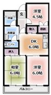 グローリーハイツ上野口の間取り画像
