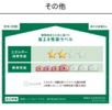 ブルーレースアゲートの外観