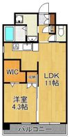 フェリシエ京町の間取り画像