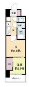 セレニテ難波グランデシュッドの間取り画像