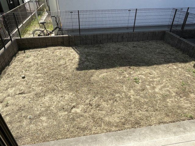 庭