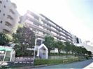 カルムイン緑地公園の間取り画像
