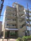 コーポ白樺古市の外観