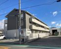Lumiere Marujuの間取り画像