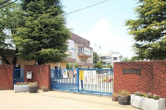 小学校「川口市立並木小学校まで356m」