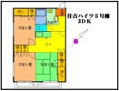 住吉ハイツ5号棟の間取り画像