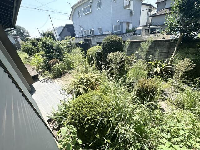 庭