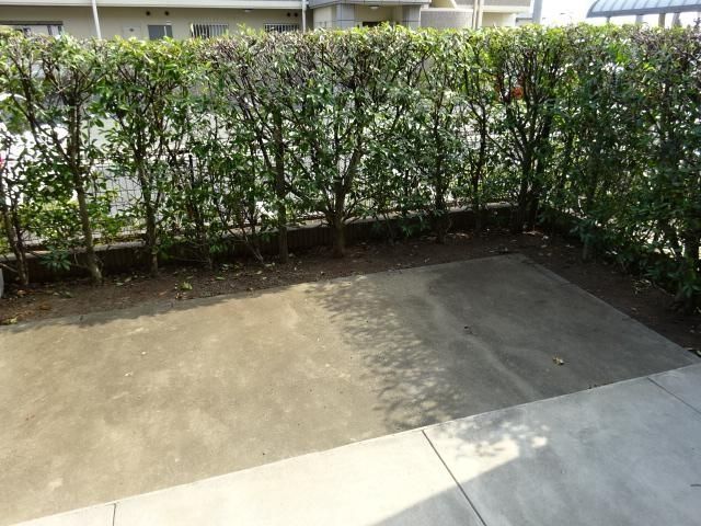 庭