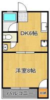 グレイスコート井掘の間取り画像