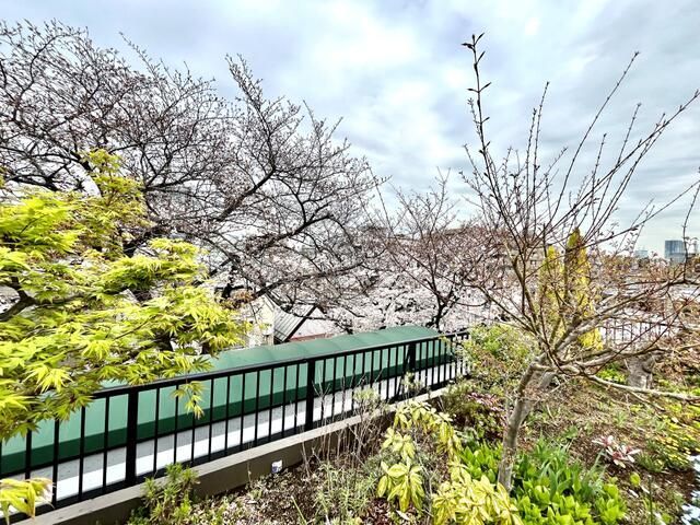 近くに施設あり