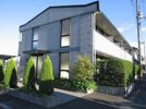 For Rent M1の間取り画像