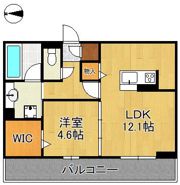 D-ROOM中原東IIの間取り画像