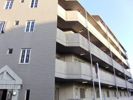 幸町アヴェニューの間取り画像