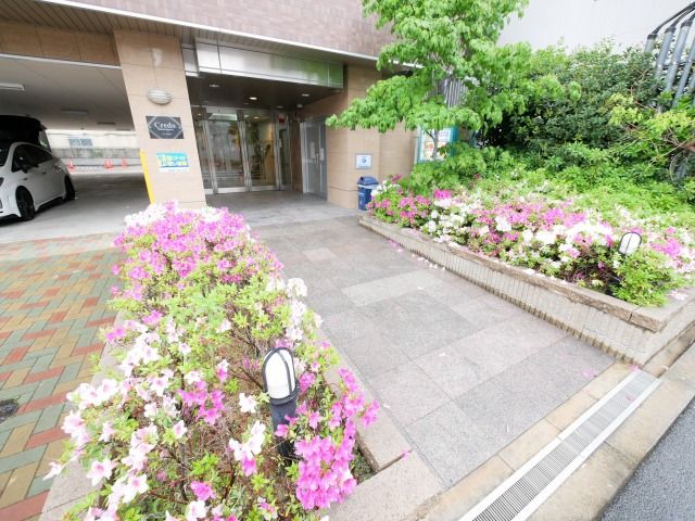 庭