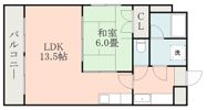 イルミナーレ島崎の間取り画像